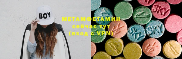 гашик Алексин