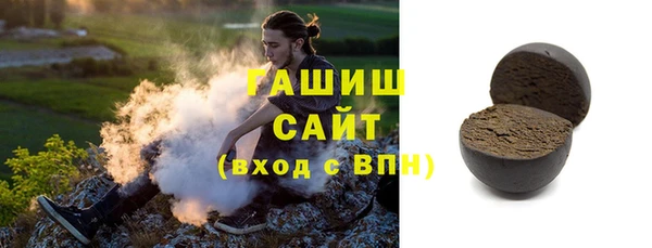 гашик Алексин