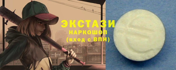 гашик Алексин
