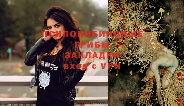винт Алзамай