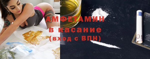 гашик Алексин