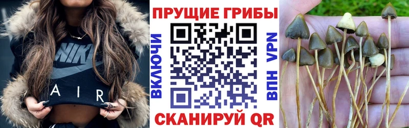 Галлюциногенные грибы GOLDEN TEACHER  Апатиты 