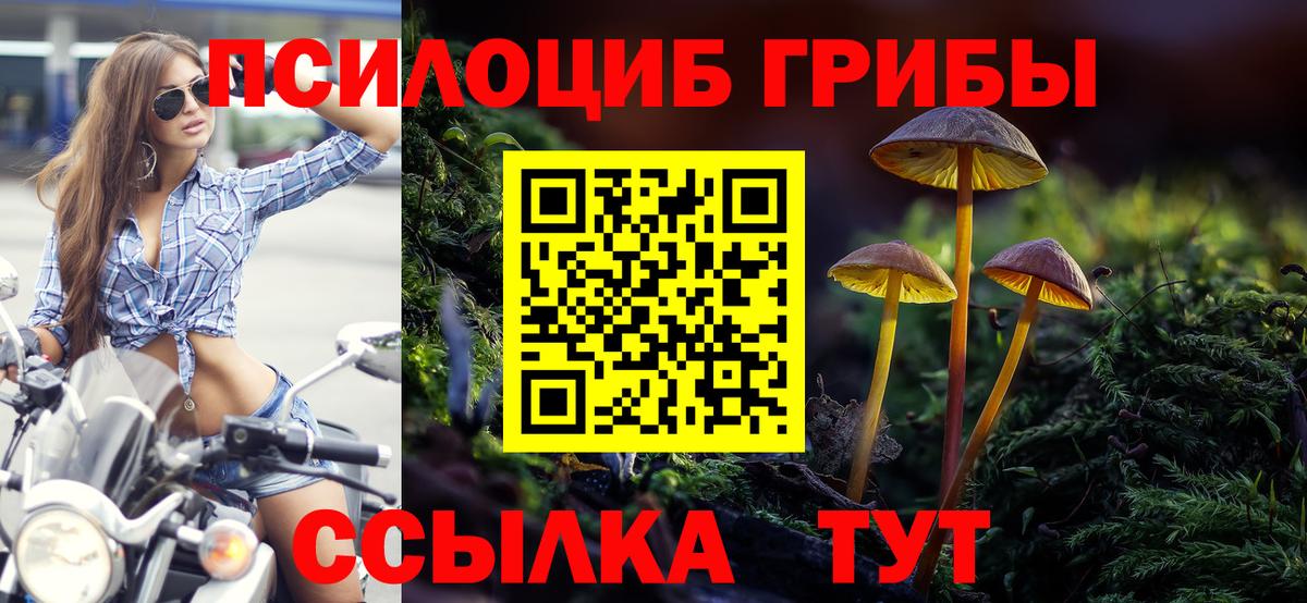 Апатиты  Галлюциногенные грибы Cubensis  Вход с VPN  Галлюциногенные грибы Cubensis 