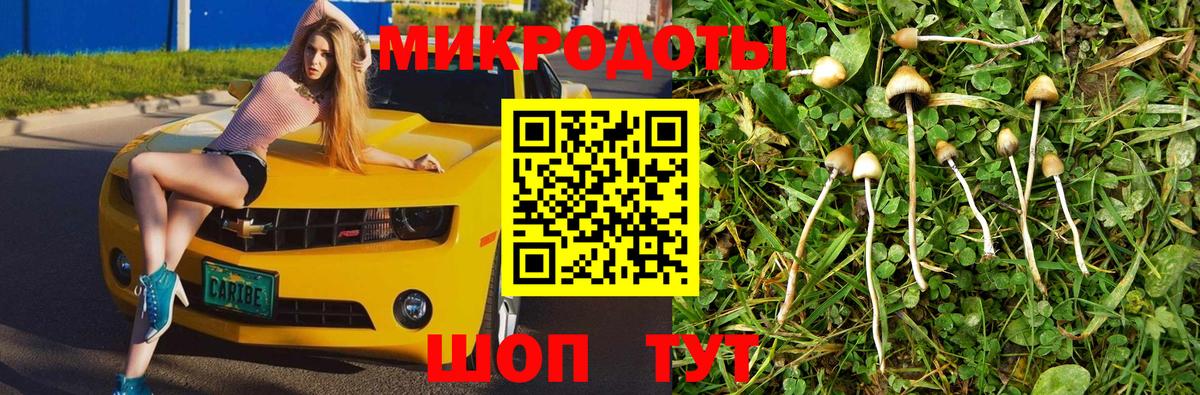 Псилоцибиновые грибы MAGIC MUSHROOMS Апатиты