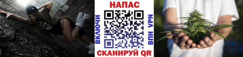 Бошки Шишки MAZAR  Апатиты 